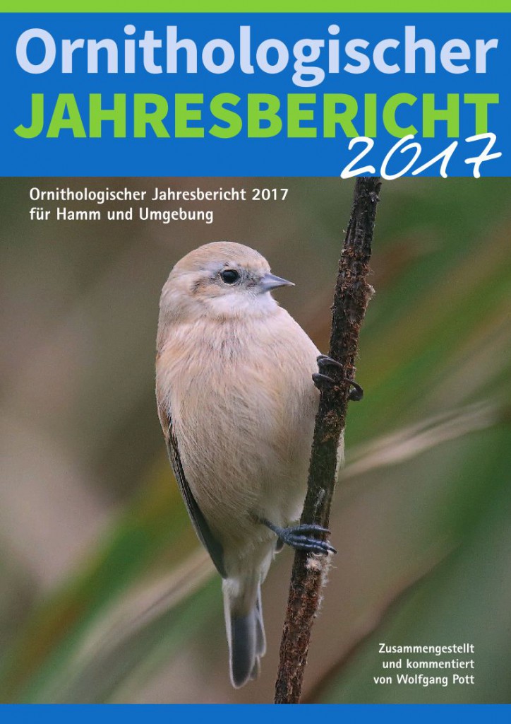 Ornithologischer Jahresbericht 2017