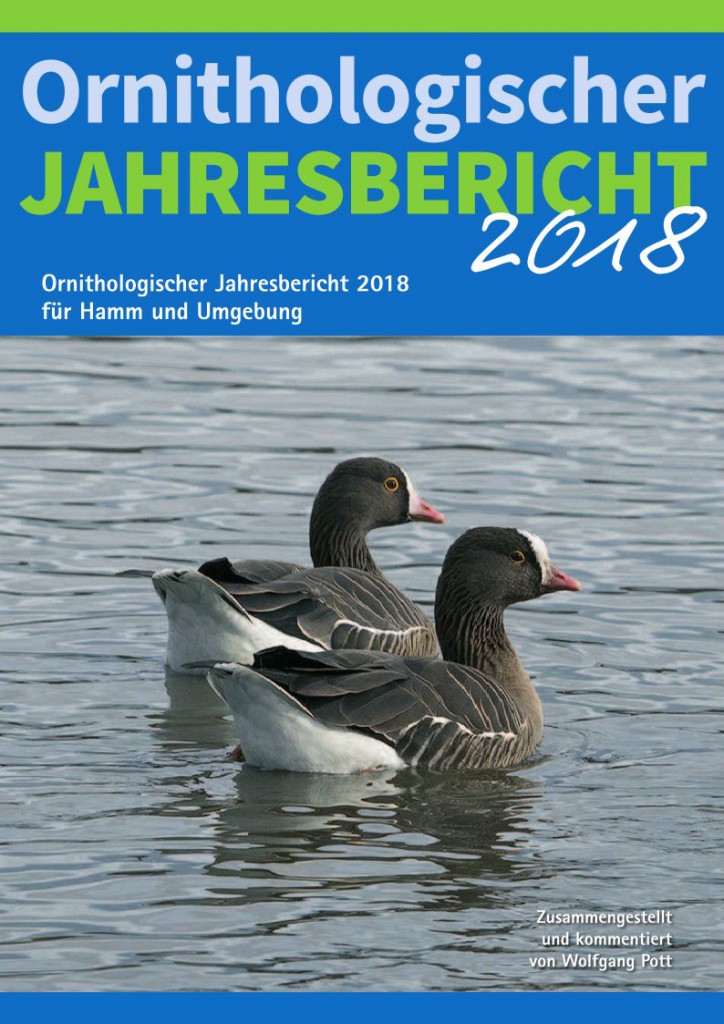 Ornithologischer Jahresbericht 2018